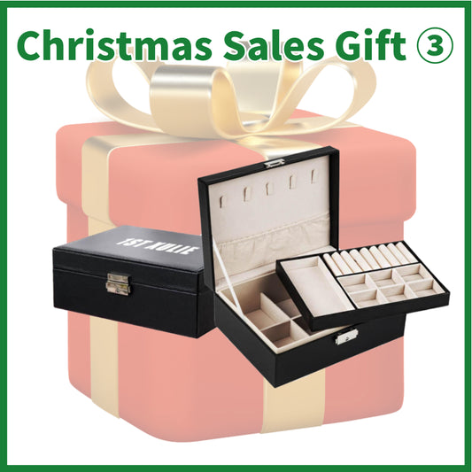 Christmas Sale Gift ③ - Jewelry Organizer（Actual Payment of $459）